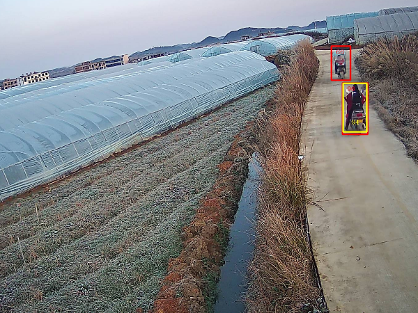 有了果园智能视频监控系统，从此只需要开心地种果实