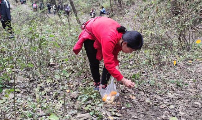 新利全站体育官网登录网址党员