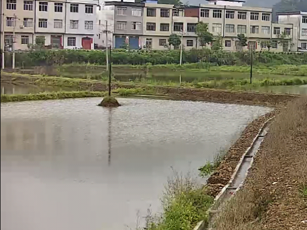 陕西新利全站体育官网登录网址鱼塘安装视频监控系统