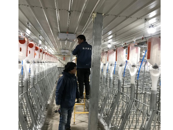 养猪场视频监控系统安装，从布线到安装需要的就是严谨